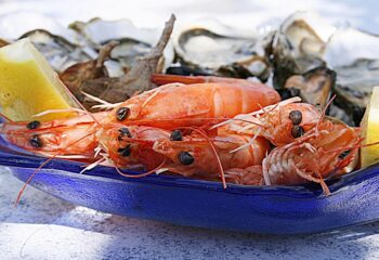 shrimp-1502724_1280