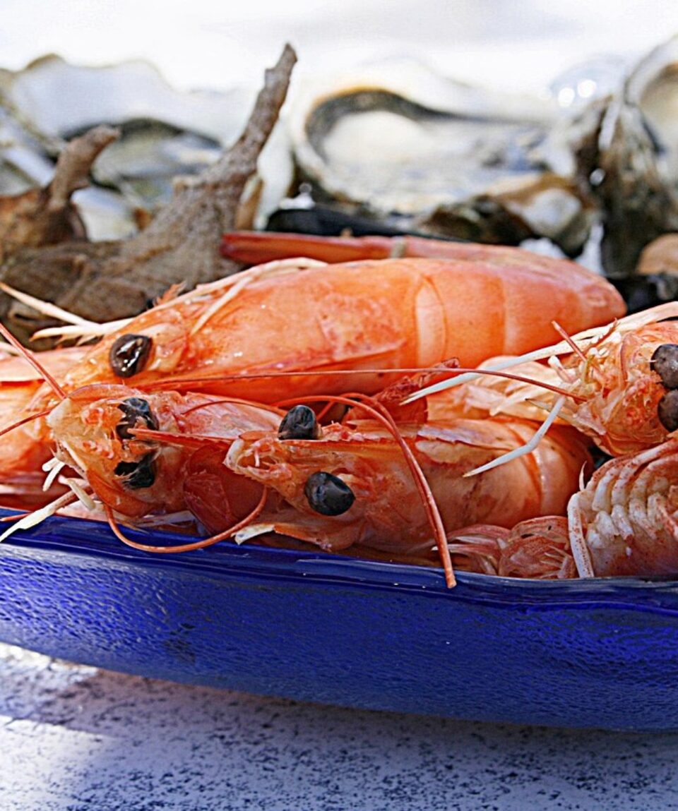 shrimp-1502724_1280