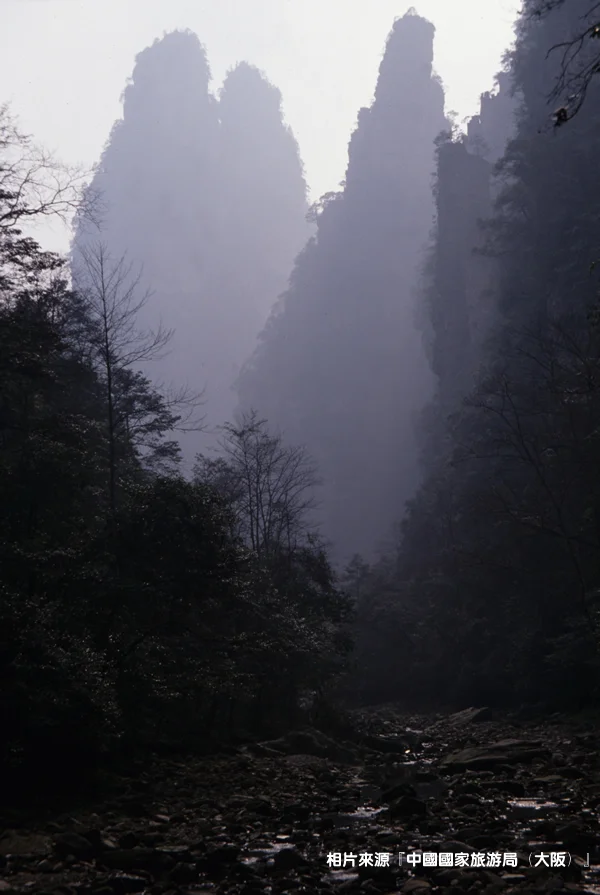 張家界-金鞭渓