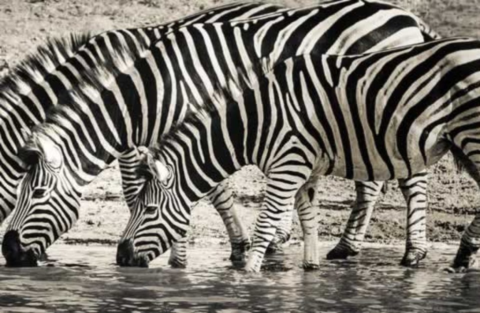 Magical Kenya Safari 9 Days
