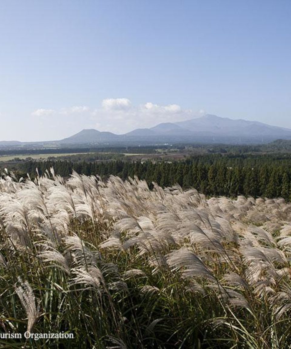 uschinatrip-korea-mountain